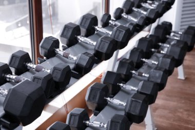 spor salonunda dambıl seti