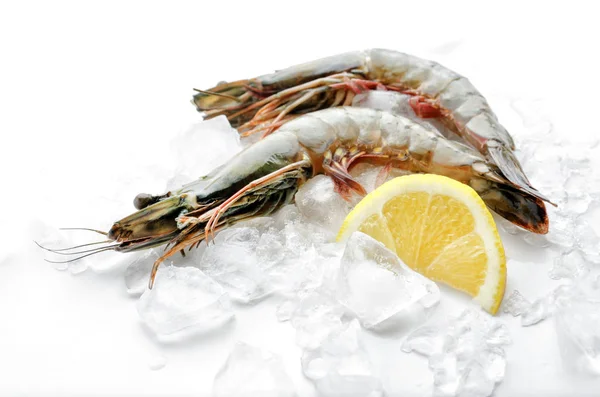 Fresh shrimps with lemon and ice — Stock Photo, Image