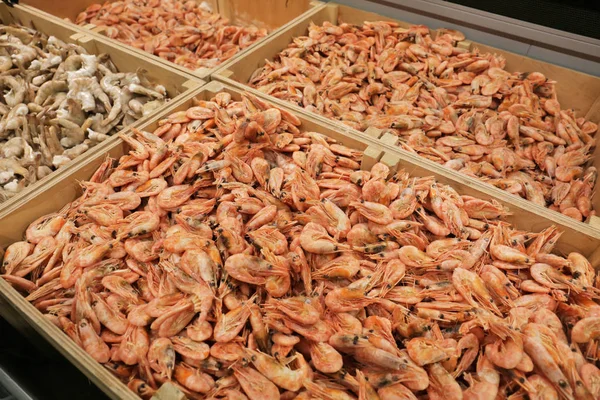 Frozen raw shrimps — Stock Photo, Image