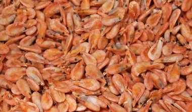 Taze karides, yakın çekim