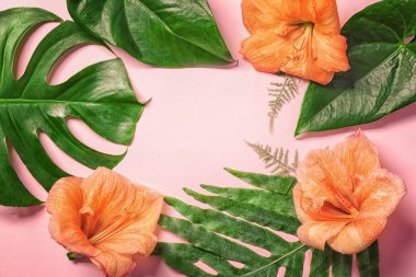 Kompozisyon güzel tropikal yaprak 