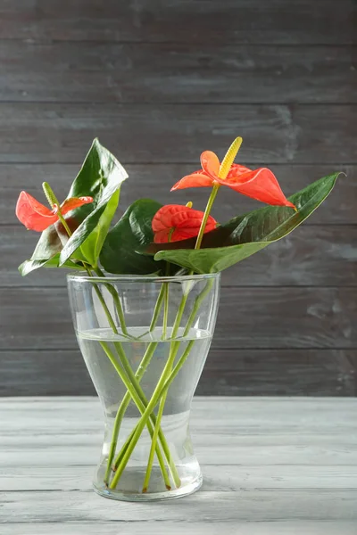 Vase en verre avec fleurs tropicales — Photo