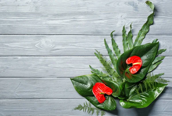 Composición de hermosas hojas tropicales — Foto de Stock