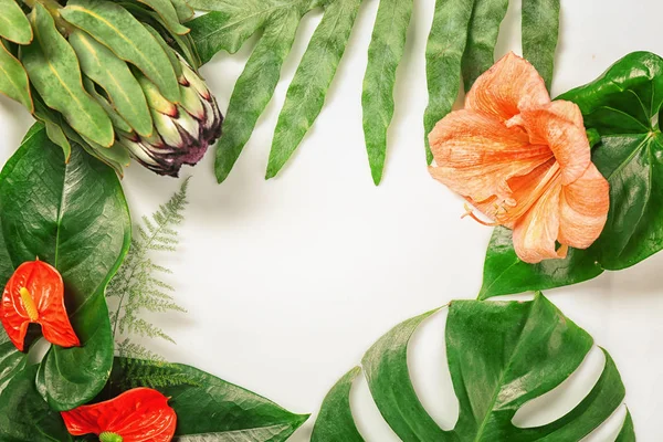 Composición de hermosas hojas tropicales — Foto de Stock
