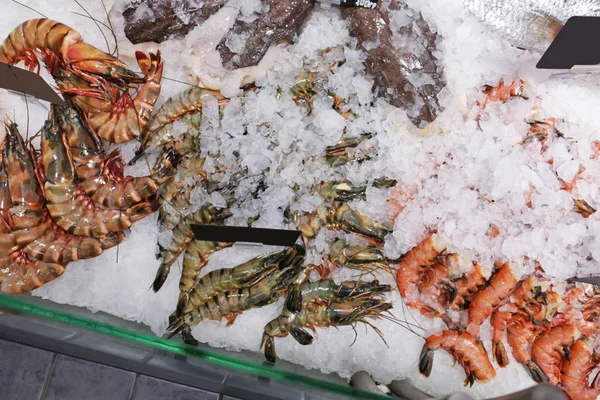 Fresh shrimps on ice — Stock Photo, Image