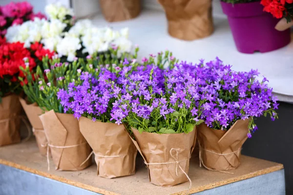 Hermosas flores en envases de papel en la tienda — Foto de Stock