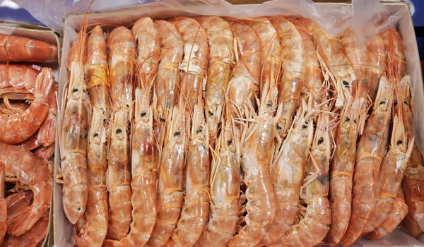 Fresh shrimps in the market — Stock Photo, Image