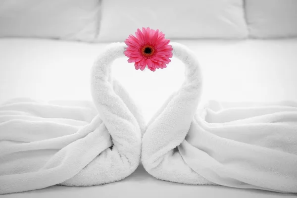 Twee handdoek zwanen en bloem — Stockfoto