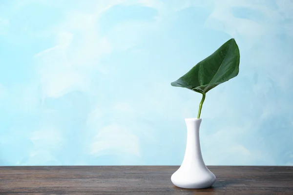 Vase with beautiful tropical leaf — Stock Photo, Image