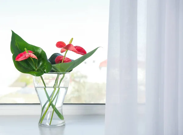 Vase en verre avec de belles fleurs tropicales — Photo