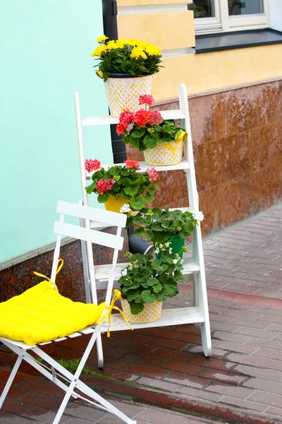 Cubos con hermosas flores en las escaleras, al aire libre. Concepto de reciclaje de residuos — Foto de Stock