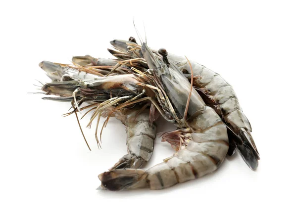 Fresh shrimps on white — Stock Photo, Image