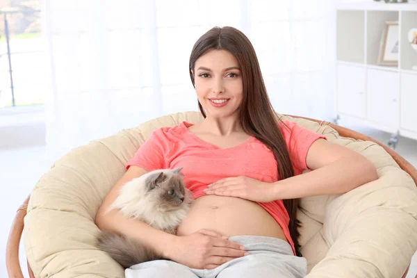 Jovem grávida sentada com gato bonito na poltrona — Fotografia de Stock