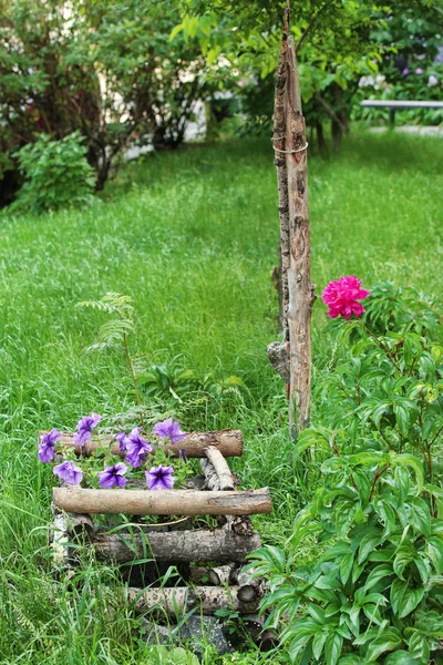 Maceta con planta en parterre de madera en jardín de primavera — Foto de Stock