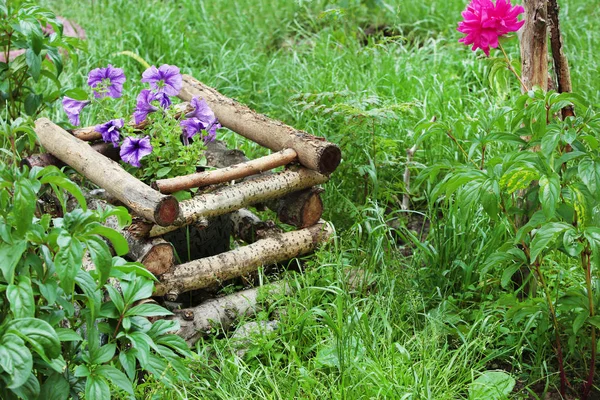 Maceta con planta en parterre de madera en jardín de primavera — Foto de Stock