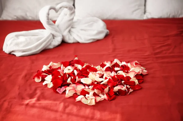 Kaksi pyyhe joutsenia ja ruusun terälehtiä sängyllä hotellihuoneessa — kuvapankkivalokuva