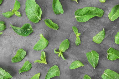 Gri arka plan üzerine nane yaprakları