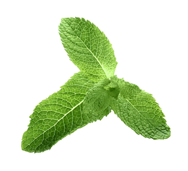 Taze nane üzerinde beyaz izole