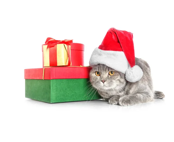 Lindo gato en Santa sombrero cerca de cajas de regalo sobre fondo blanco — Foto de Stock
