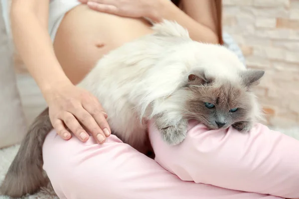 Unga gravid kvinna med söt katt hemma — Stockfoto