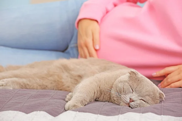 Lindo gato durmiendo y embarazada mujer en la cama —  Fotos de Stock