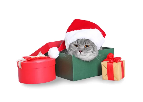 Geschenkbox mit niedlicher Katze in Weihnachtsmütze auf weißem Hintergrund — Stockfoto