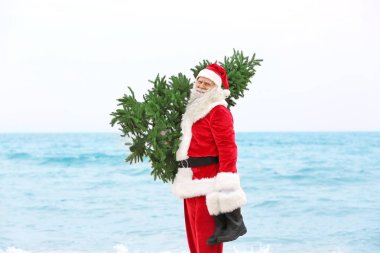Otantik Noel Baba Noel ağacına deniz arka plan ile