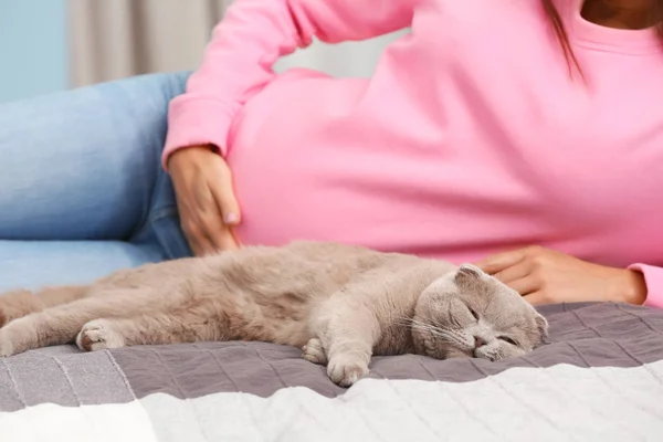 Милая кошка и беременная женщина на кровати — стоковое фото