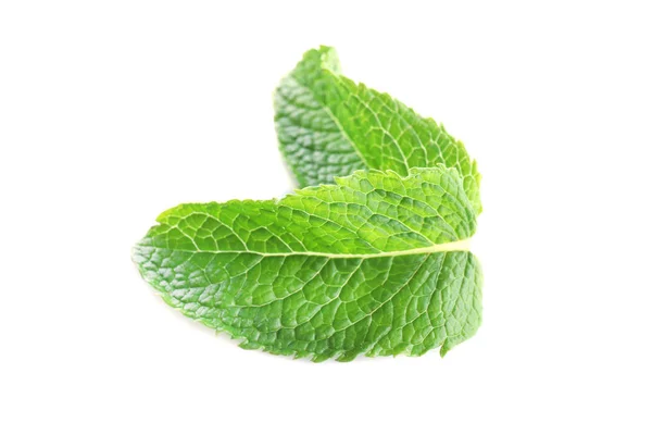 Fresh mint isolated on white — Stock Photo, Image