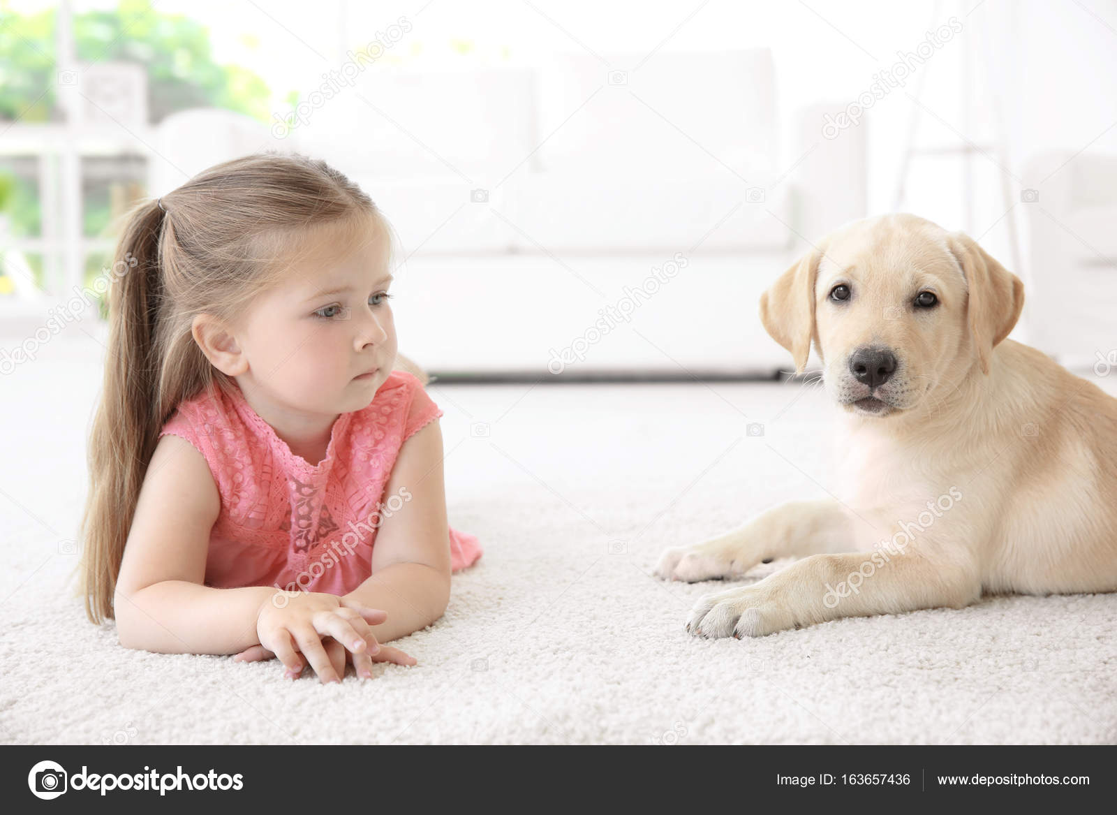 Cute child with Labrador Retriever at home — Stock Photo
