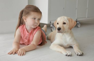 Labrador Retriever şirin çocuk evde