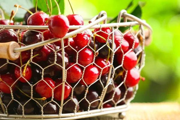 Cesta com cerejas frescas maduras — Fotografia de Stock