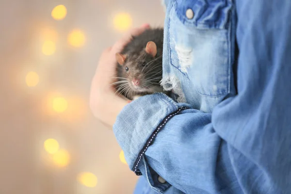 Wanita muda memegang tikus lucu — Stok Foto