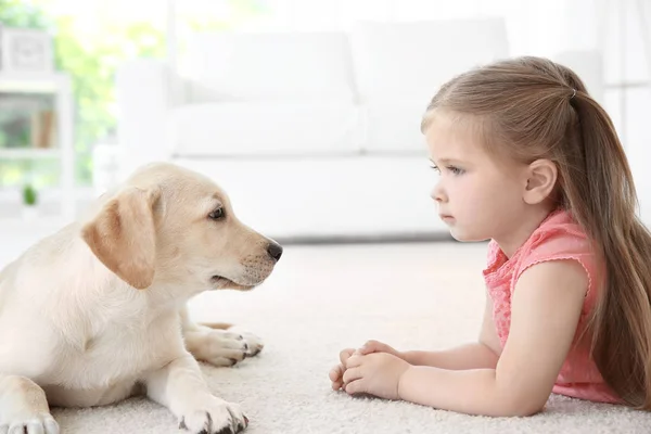 Schattig kind met Labrador Retriever thuis — Stockfoto