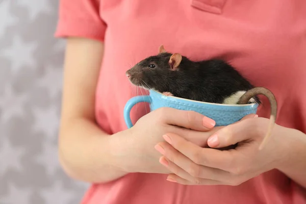 Donna in possesso di tazza con ratto carino — Foto Stock