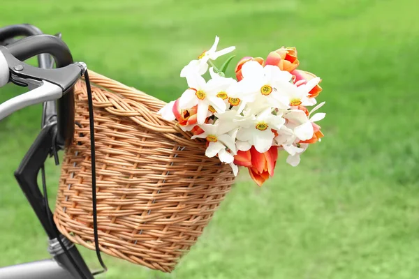 Cykel med korg av vackra blommor — Stockfoto