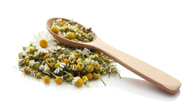 Dried chamomile flowers and wooden spoon — Stock Photo, Image