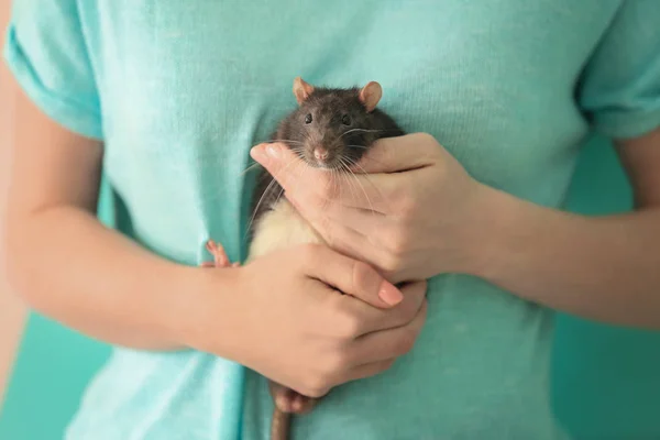 Donna in possesso di ratto carino — Foto Stock