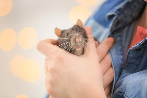 Giovane donna in possesso di ratto carino — Foto Stock