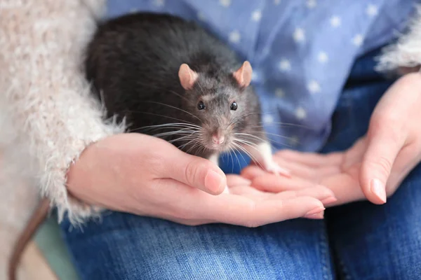 Donna in possesso di ratto carino — Foto Stock