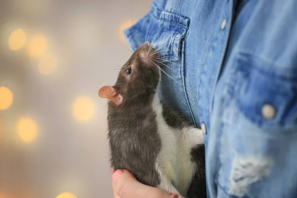 Jeune femme tenant rat mignon — Photo