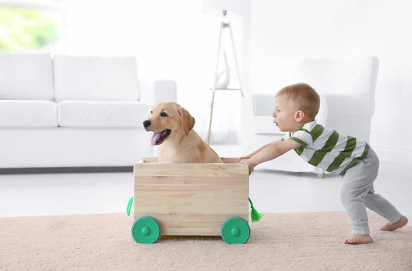 Söta barn och Labrador — Stockfoto