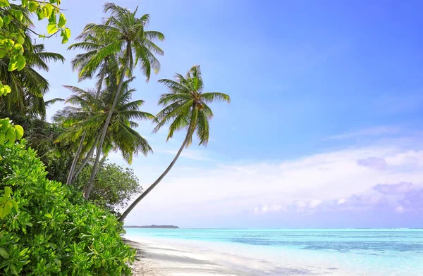 Schöner Sandstrand am Meer — Stockfoto