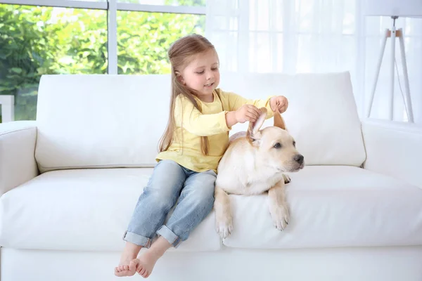 Bambino carino con Labrador Retriever sul divano — Foto Stock