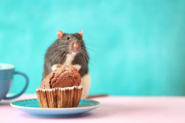 Linda rata y platillo con pastel —  Fotos de Stock