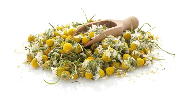 Dried chamomile flowers and wooden scoop — Stock Photo, Image