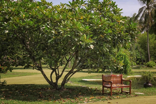 Hermoso parque verde en el resort — Foto de Stock