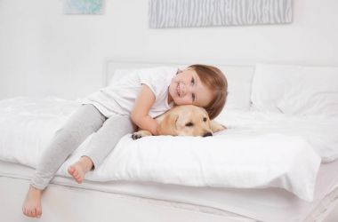 Labrador Retriever şirin çocukla yatakta