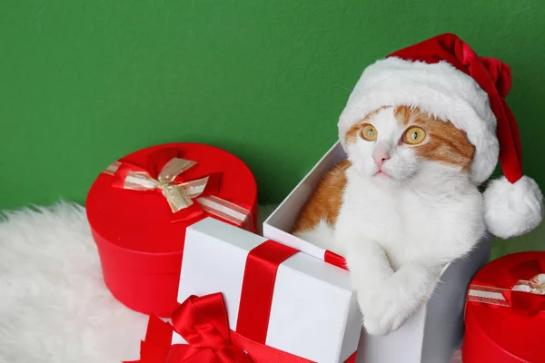 Κουτί δώρου με χαριτωμένο γάτα — Φωτογραφία Αρχείου