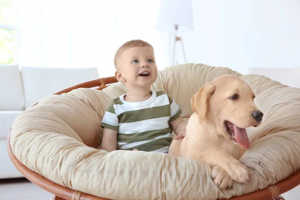 Cute child with Labrador — Stock Photo, Image